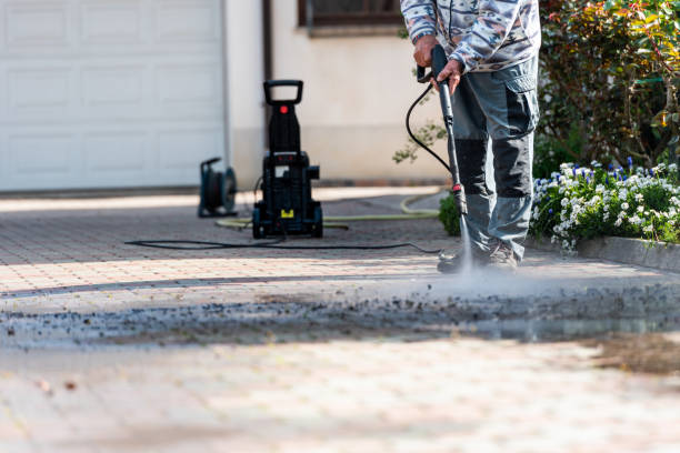 Best Residential Pressure Washing Services  in Flora, IN