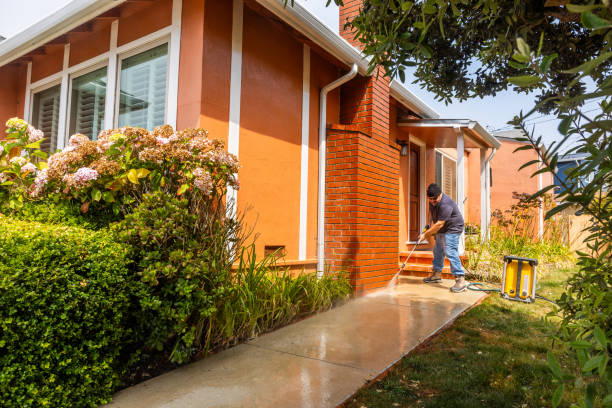 Best Best Pressure Washing Companies  in Flora, IN