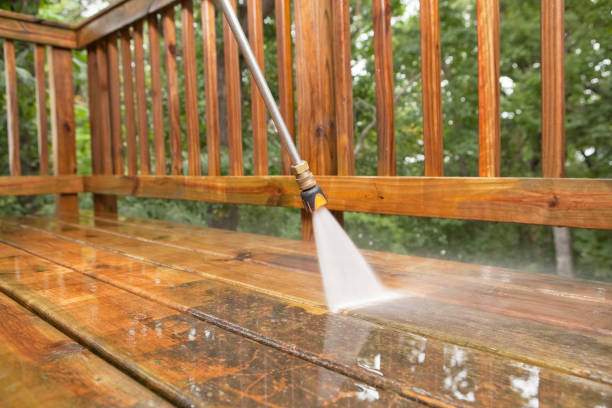 Best Best Pressure Washing Companies  in Flora, IN