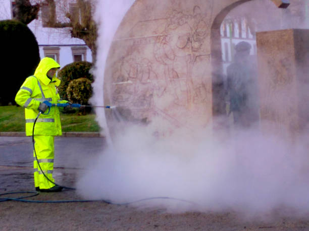 Best Fence Pressure Washing  in Flora, IN